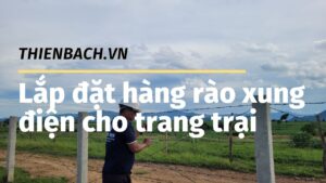 lap-dat-hang-rao-xung-dien-cho-trang-trai-001