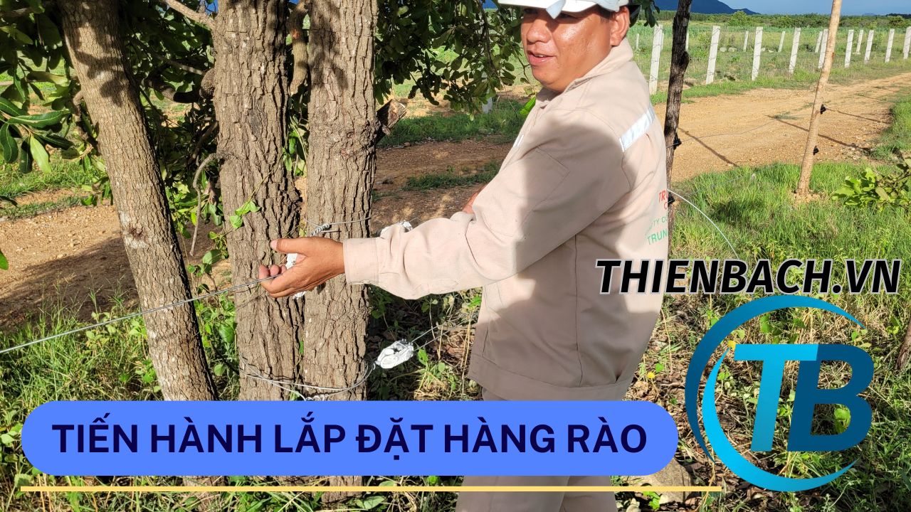 lap-dat-hang-rao-xung-dien-cho-trang-trai-002