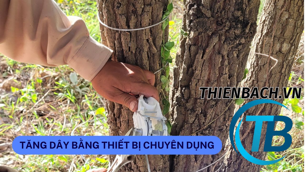 lap-dat-hang-rao-xung-dien-cho-trang-trai-003