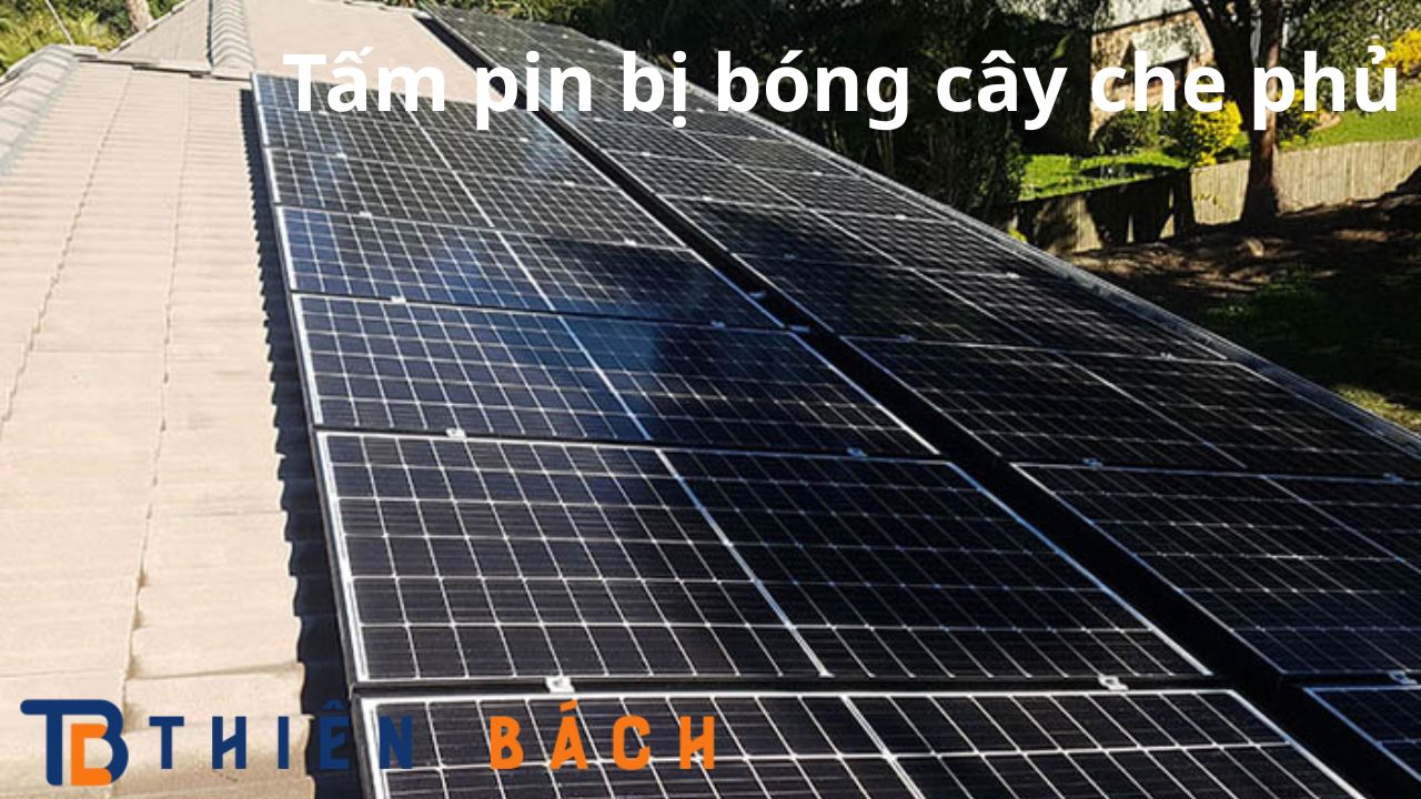 tam-pin-bi-bong-cay-che-phu