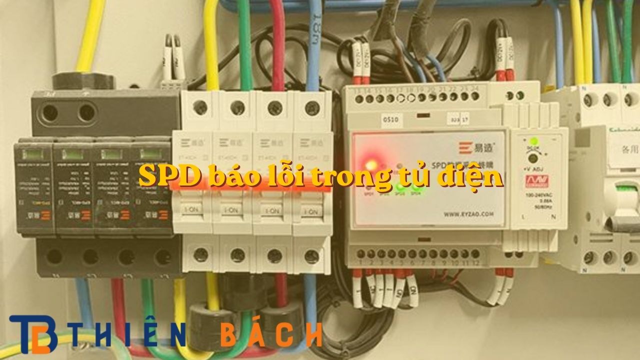 spd-bao-loi-hoac-da-hong